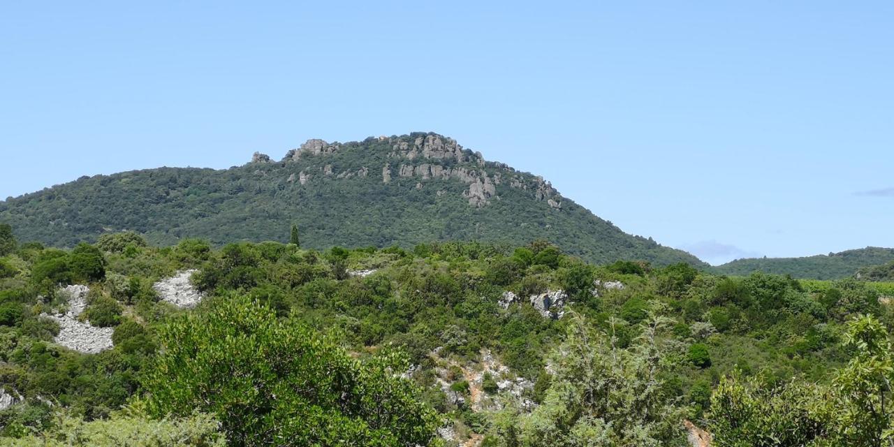 Bed and Breakfast Le Mimosa Saint-Saturnin-de-Lucian Екстер'єр фото