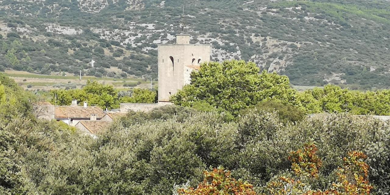 Bed and Breakfast Le Mimosa Saint-Saturnin-de-Lucian Екстер'єр фото