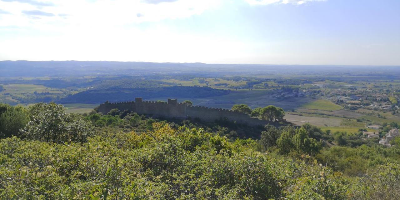 Bed and Breakfast Le Mimosa Saint-Saturnin-de-Lucian Екстер'єр фото