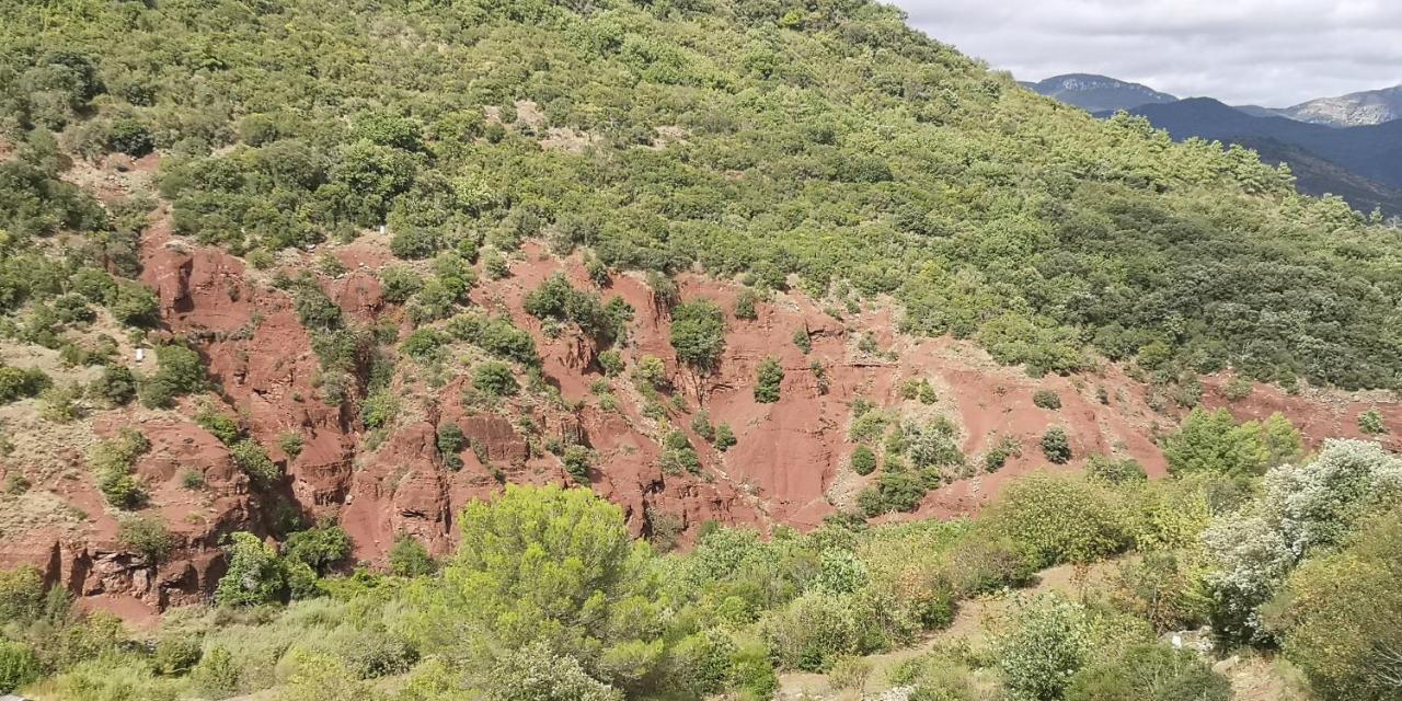 Bed and Breakfast Le Mimosa Saint-Saturnin-de-Lucian Екстер'єр фото