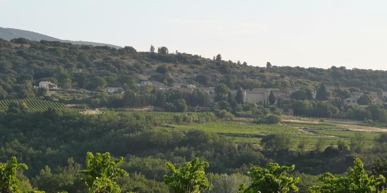 Bed and Breakfast Le Mimosa Saint-Saturnin-de-Lucian Екстер'єр фото