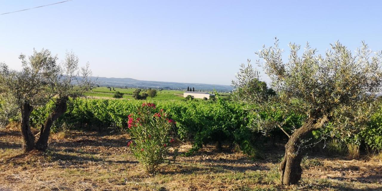 Bed and Breakfast Le Mimosa Saint-Saturnin-de-Lucian Екстер'єр фото