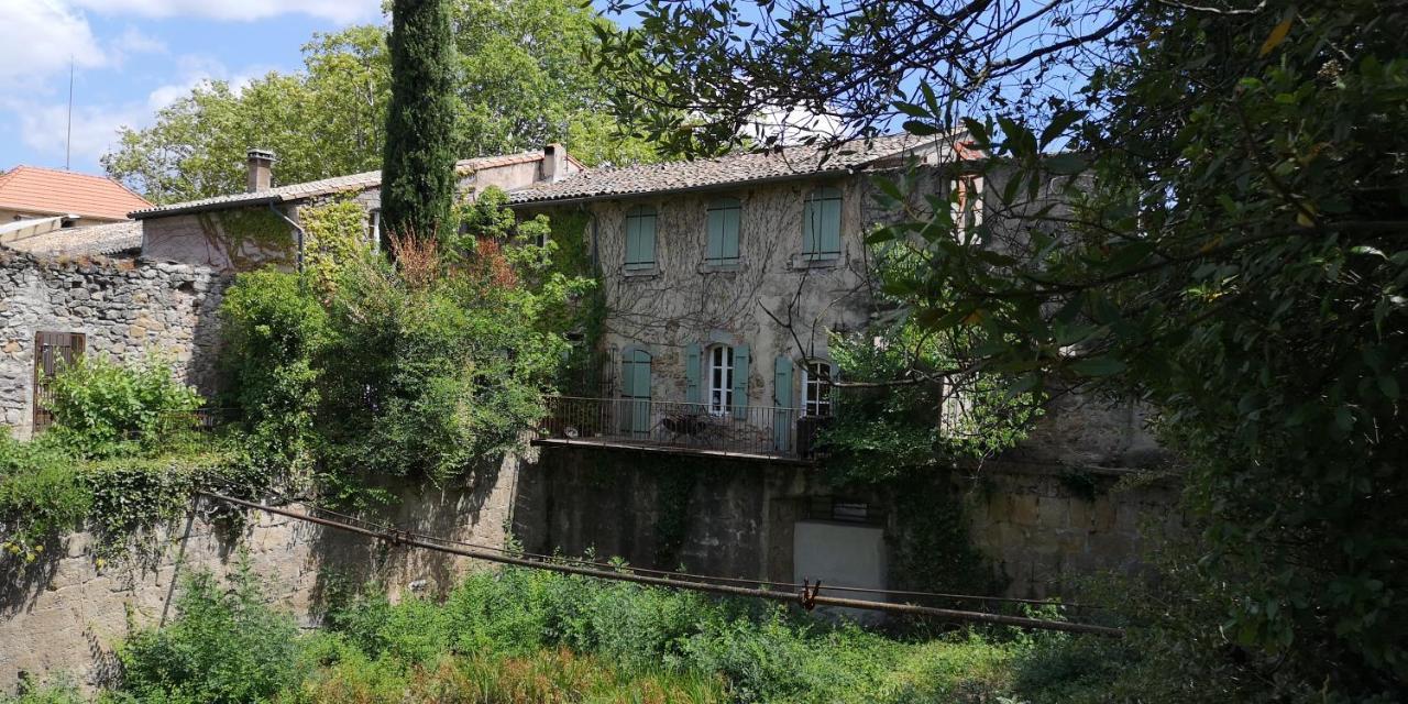 Bed and Breakfast Le Mimosa Saint-Saturnin-de-Lucian Екстер'єр фото
