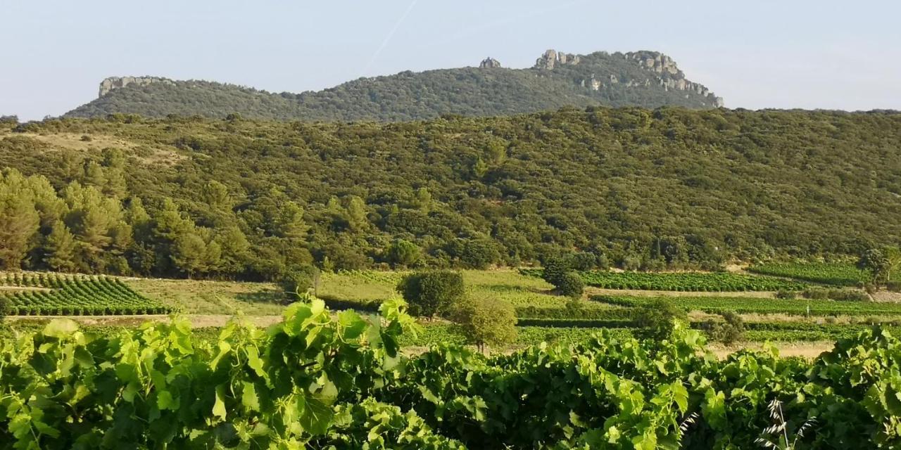 Bed and Breakfast Le Mimosa Saint-Saturnin-de-Lucian Екстер'єр фото
