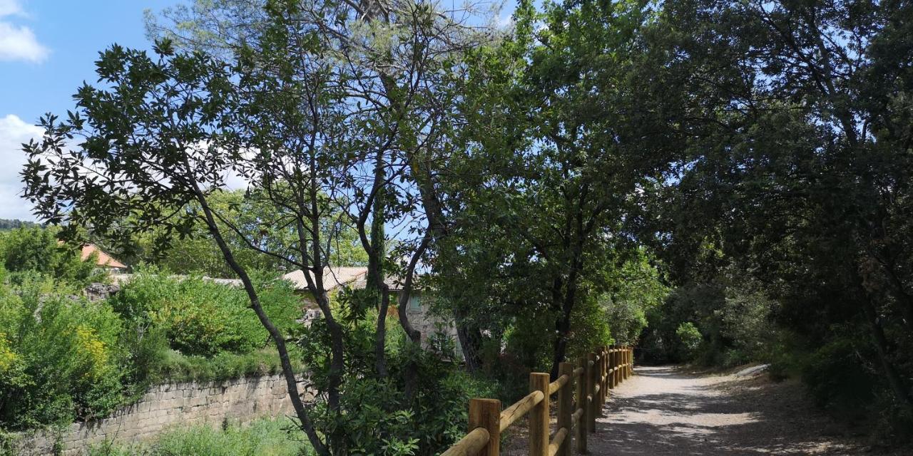 Bed and Breakfast Le Mimosa Saint-Saturnin-de-Lucian Екстер'єр фото