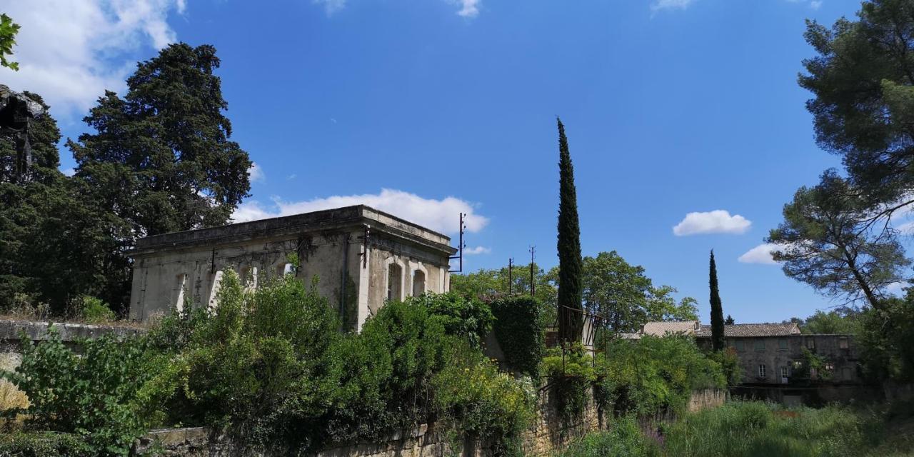 Bed and Breakfast Le Mimosa Saint-Saturnin-de-Lucian Екстер'єр фото