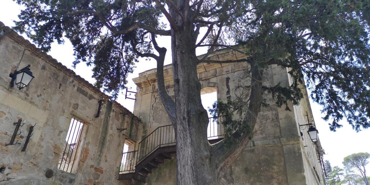 Bed and Breakfast Le Mimosa Saint-Saturnin-de-Lucian Екстер'єр фото