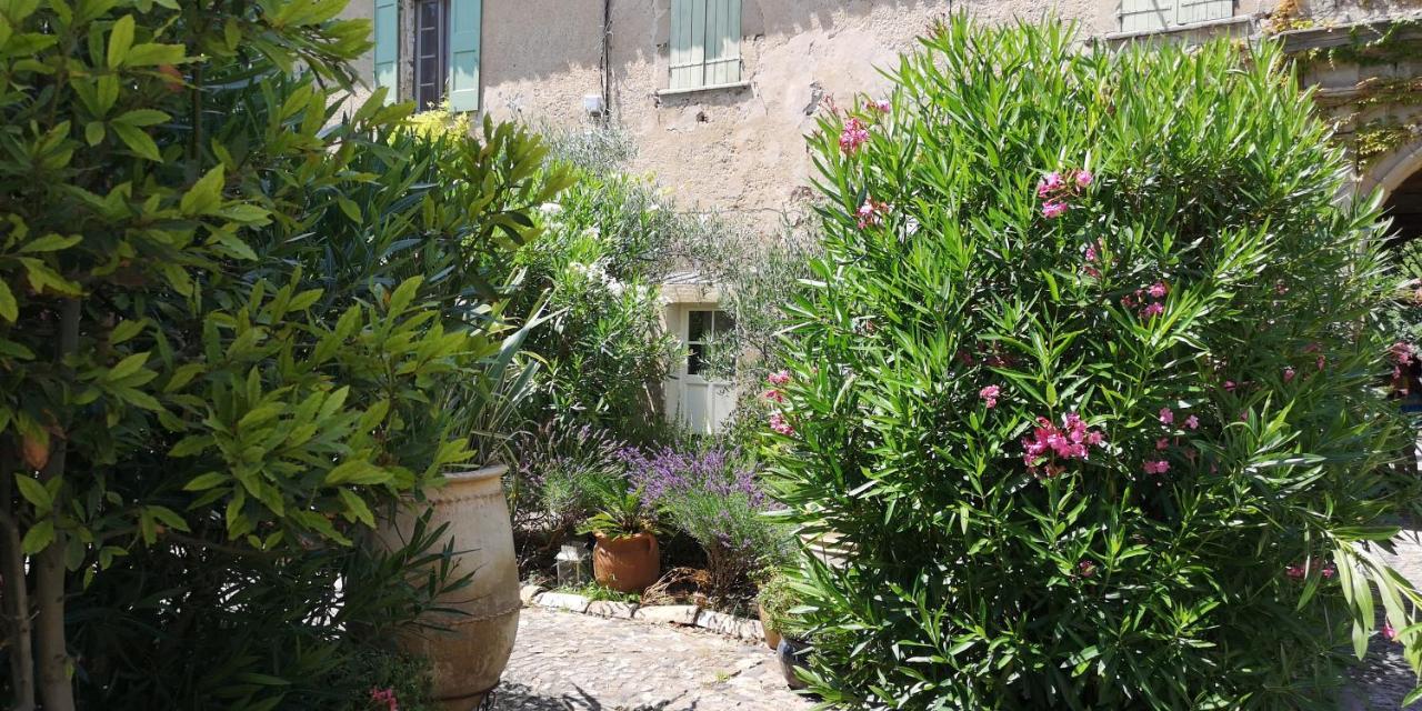 Bed and Breakfast Le Mimosa Saint-Saturnin-de-Lucian Екстер'єр фото